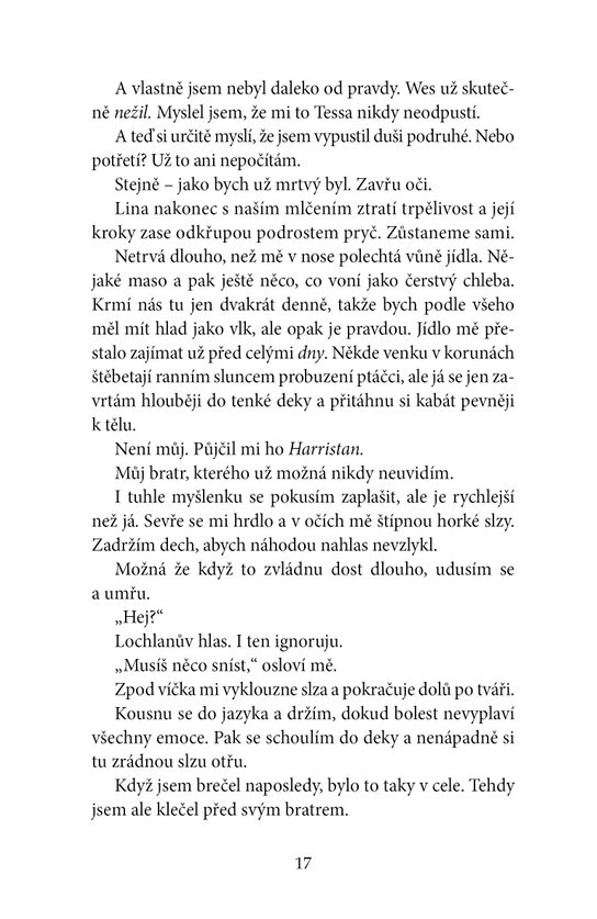 Rozvrať den