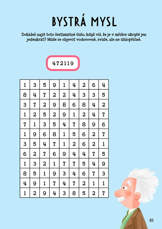Einsteinovy hádanky pro chytré děti