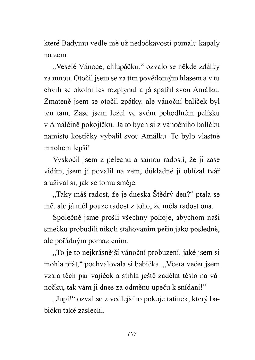 Australský ovčák slaví Vánoce