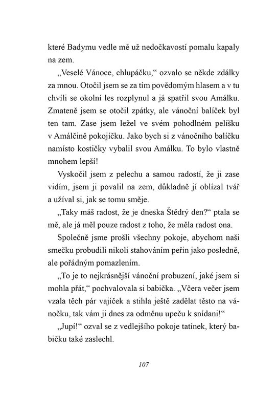 Australský ovčák slaví Vánoce
