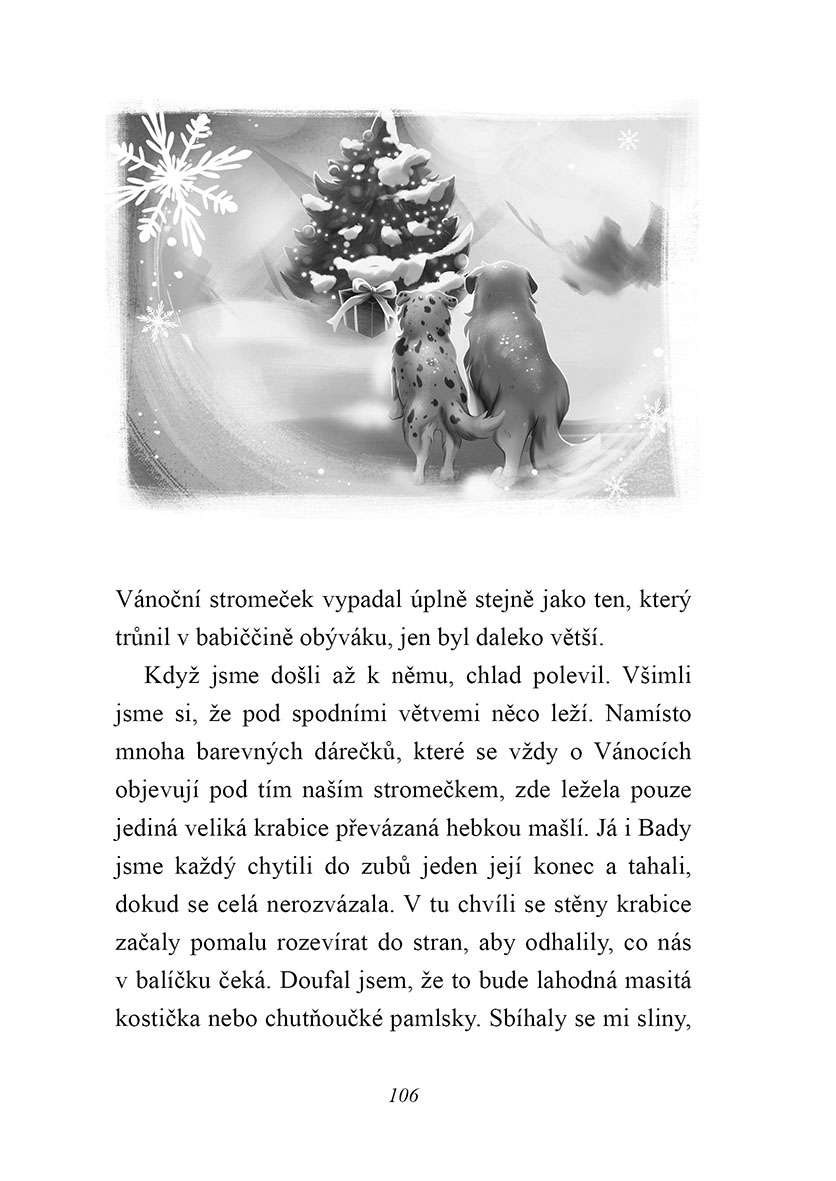 Australský ovčák slaví Vánoce