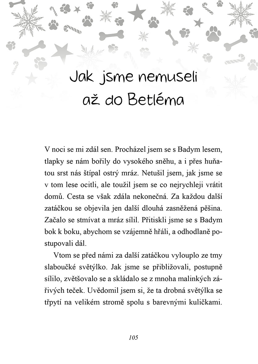 Australský ovčák slaví Vánoce