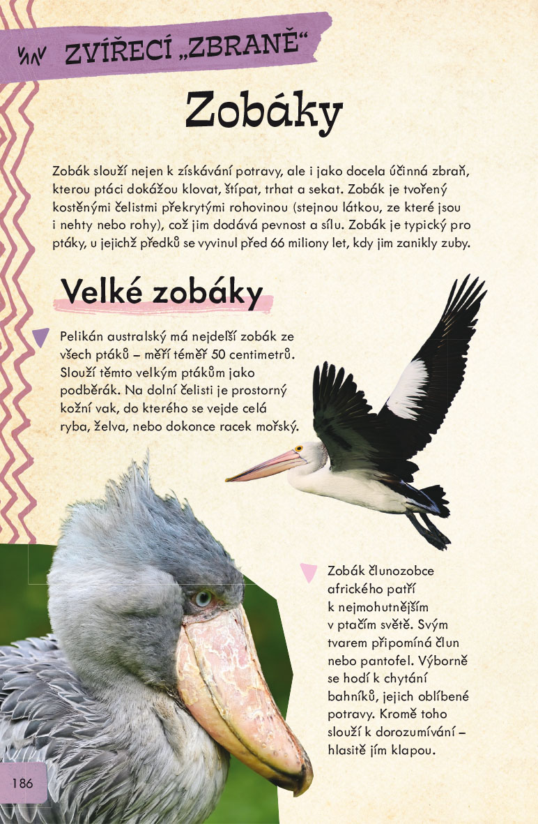 Nebezpečná zvířata