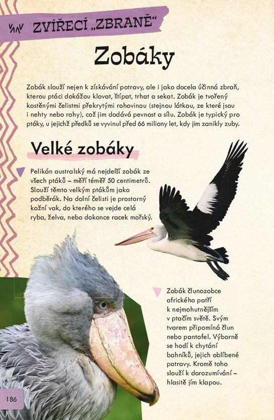 Nebezpečná zvířata