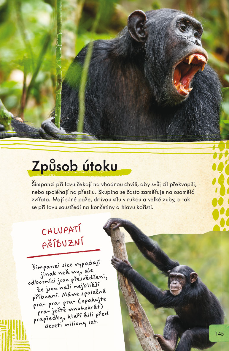 Nebezpečná zvířata