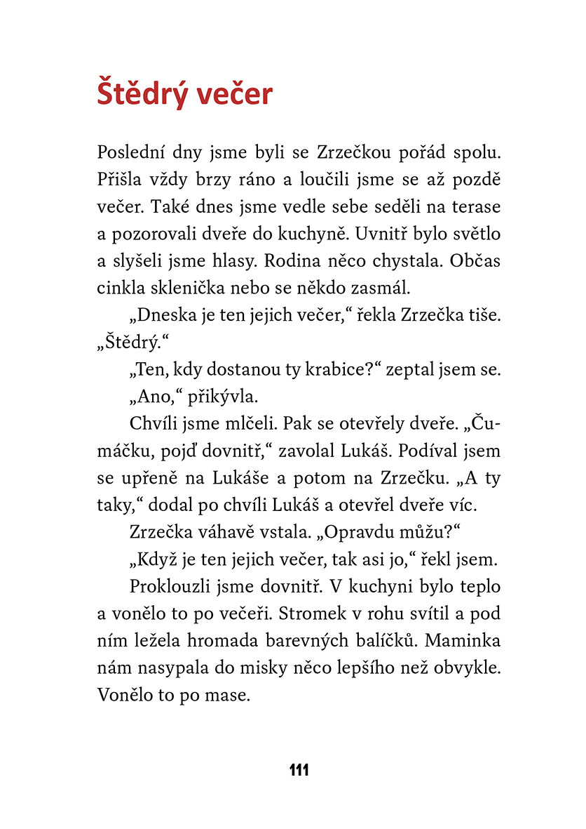 Kocourek a kouzelné Vánoce