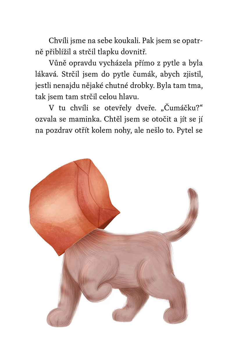 Kocourek a kouzelné Vánoce