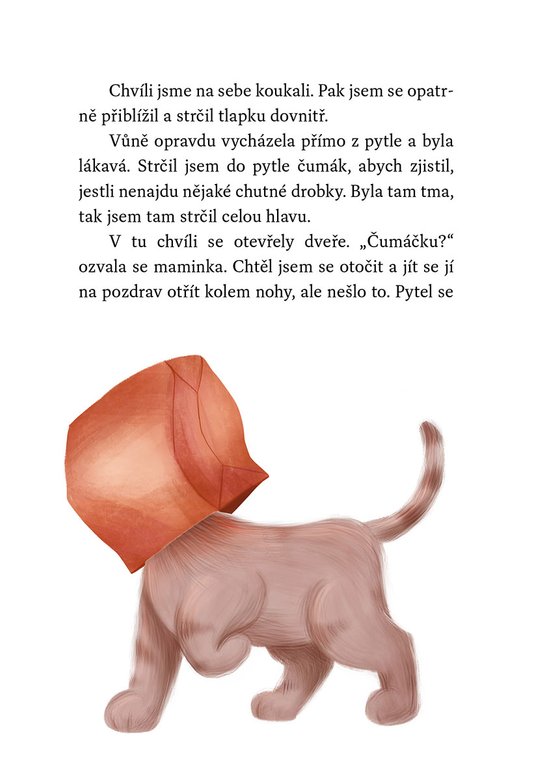 Kocourek a kouzelné Vánoce