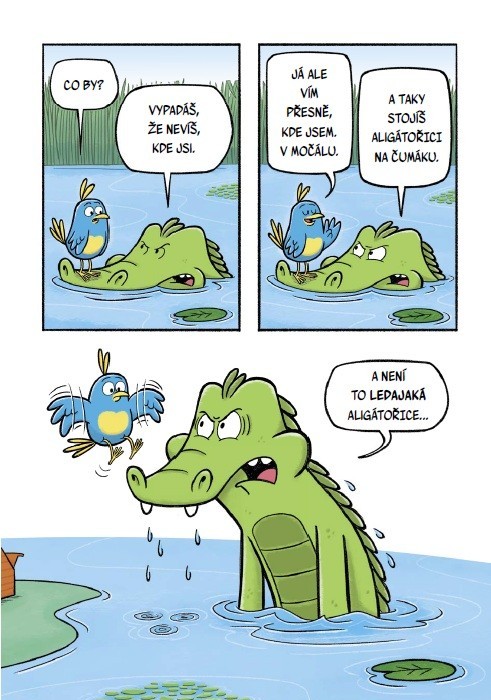 Brko a Koko
