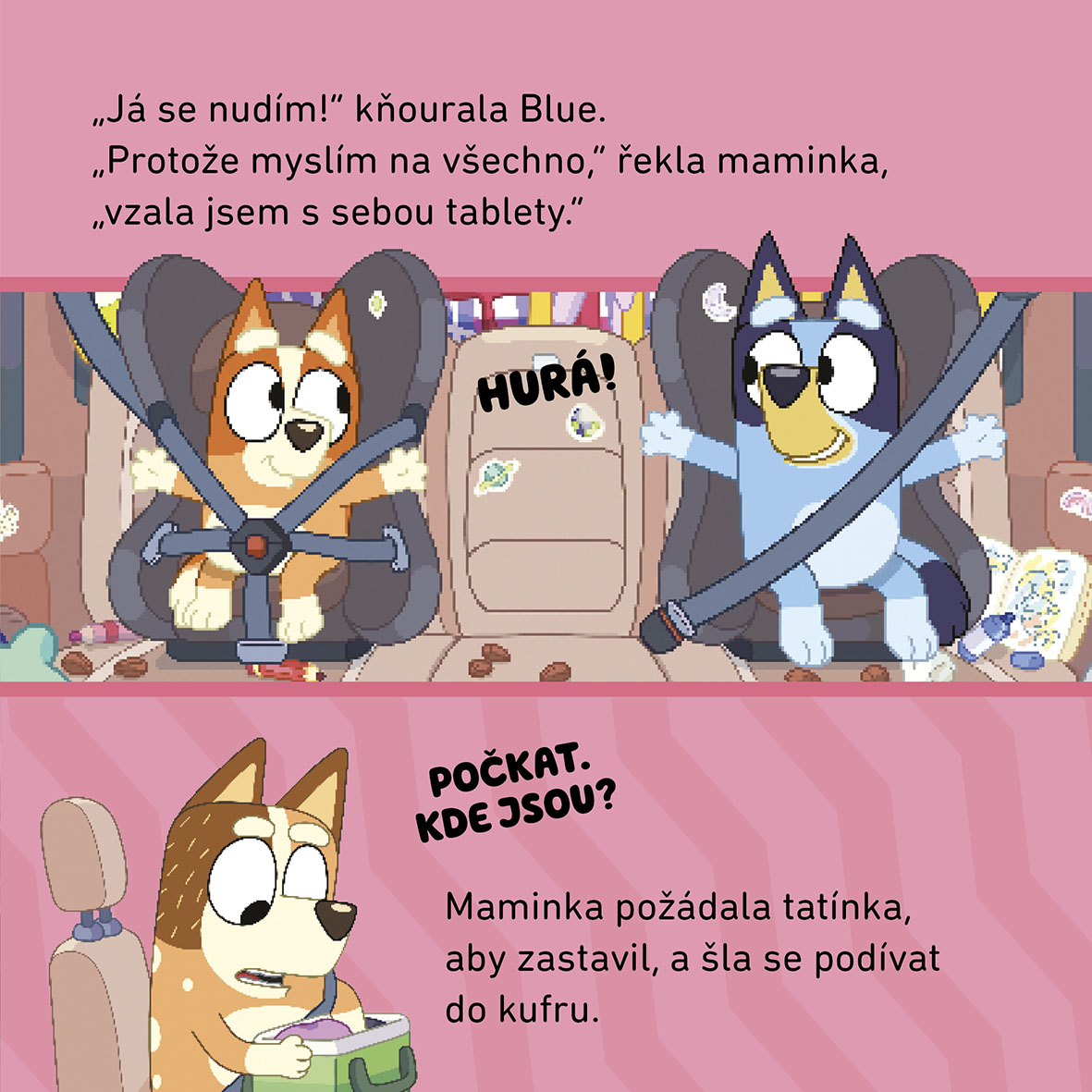 Bluey - Výlet