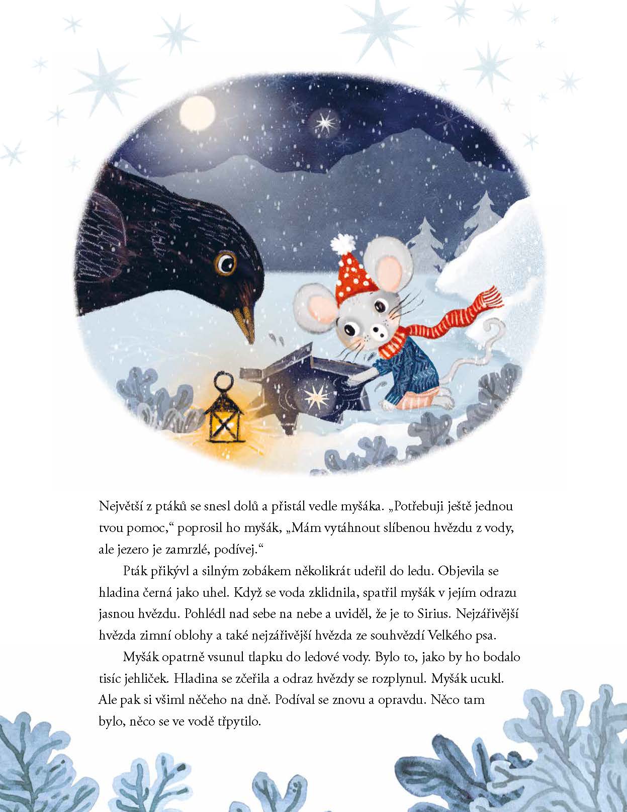 Myšák z hor a cesta za hvězdami