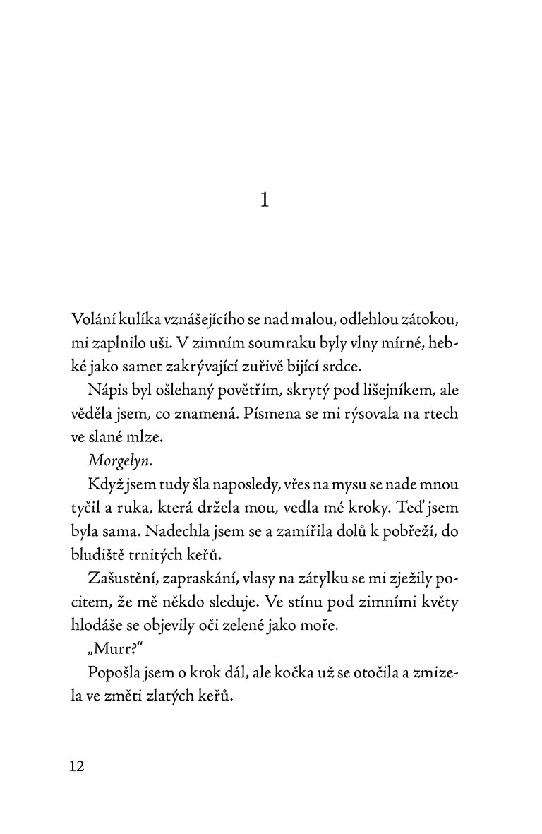 Kočka, která zachránila Vánoce