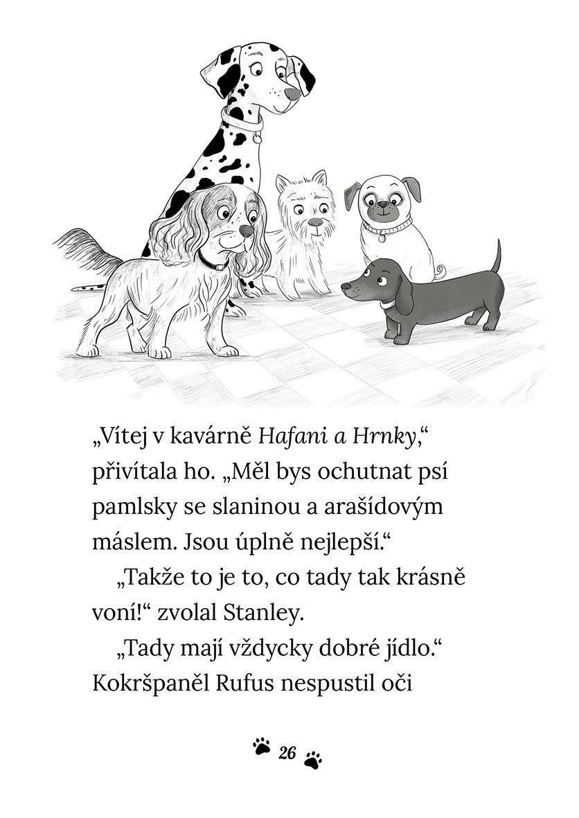 Vánoční jezevčík