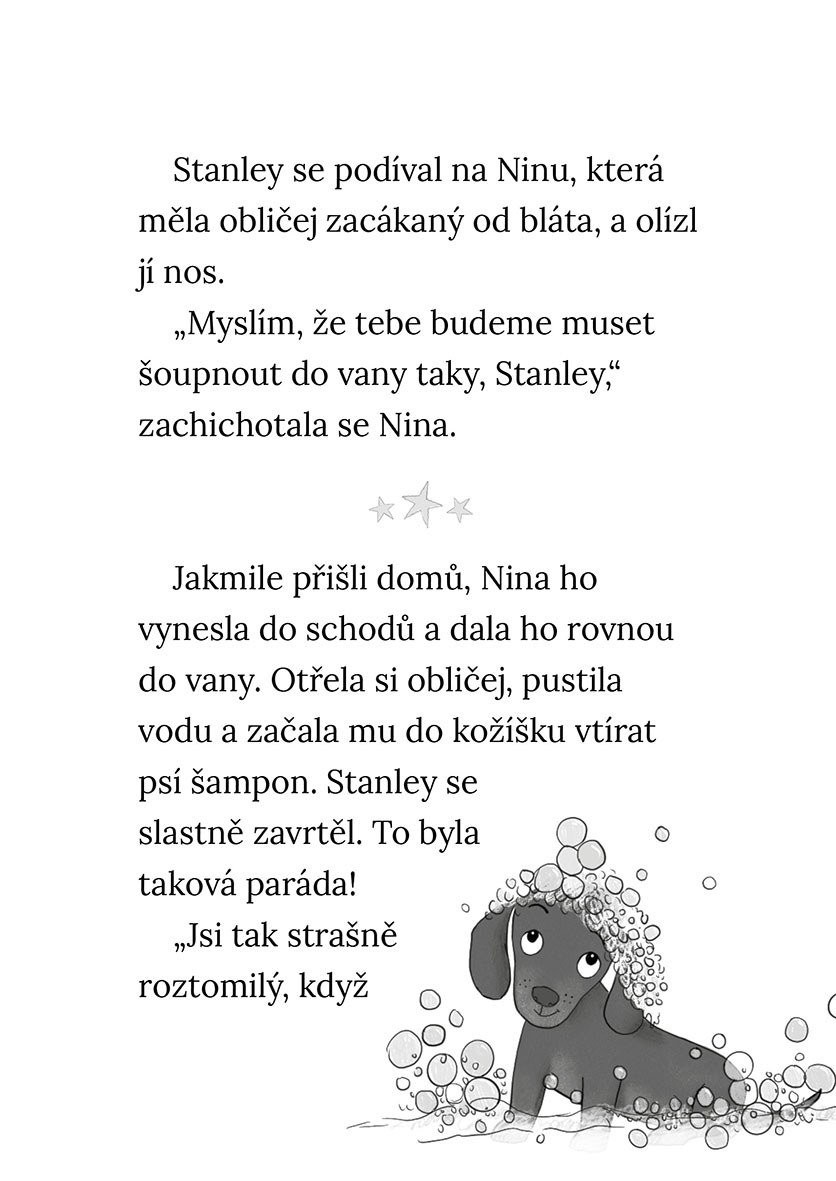 Vánoční jezevčík