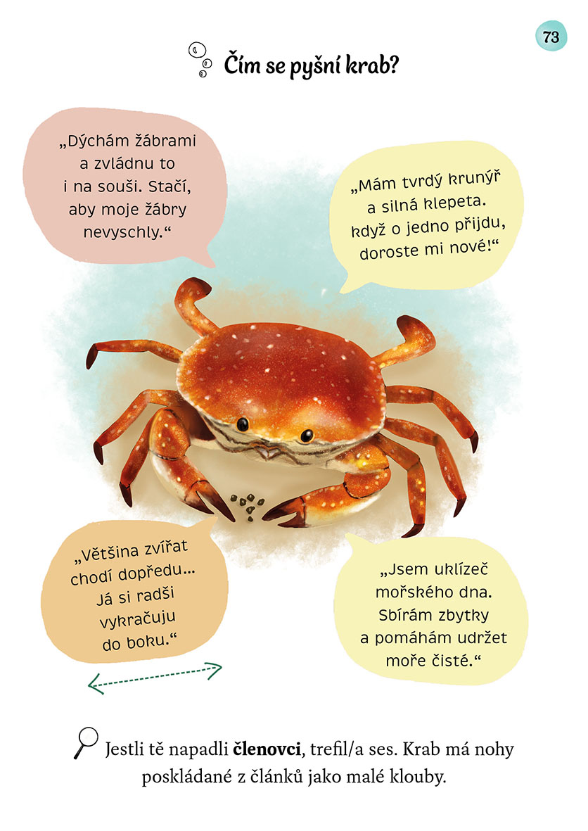 Není ryba jako ryba