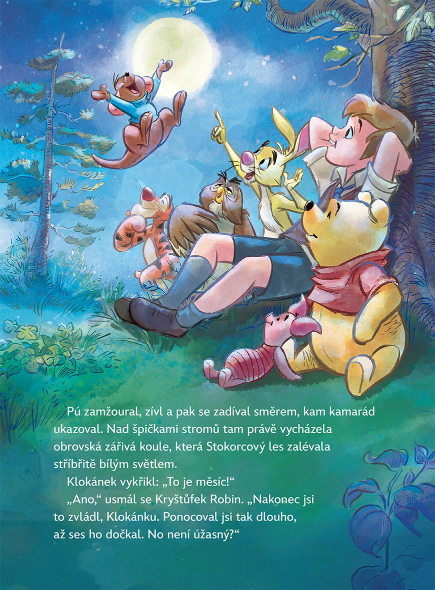 Medvídek Pú - Vánoční pohádky