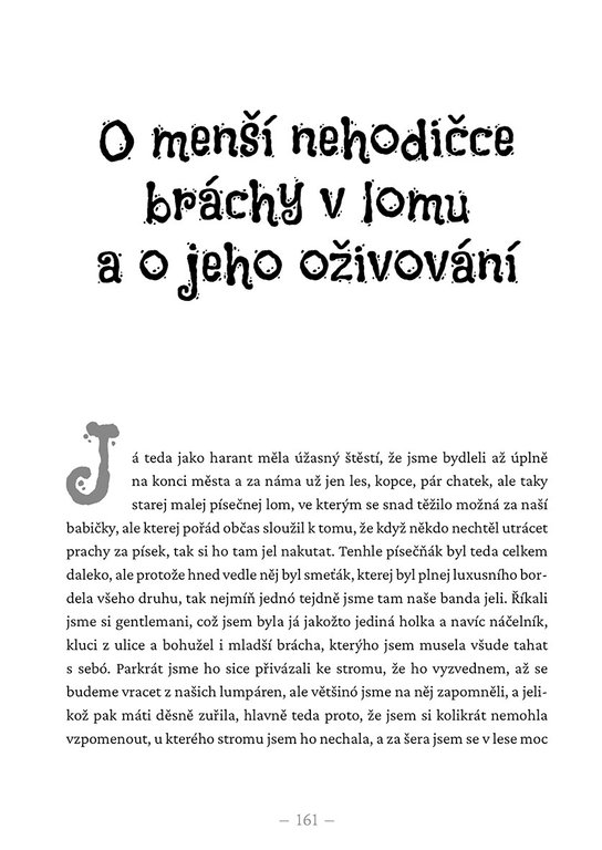 Deníček Camille G box: Od Jedničky po Pětečku