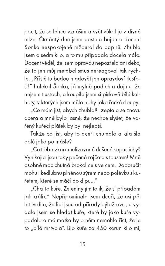 Velký příběh