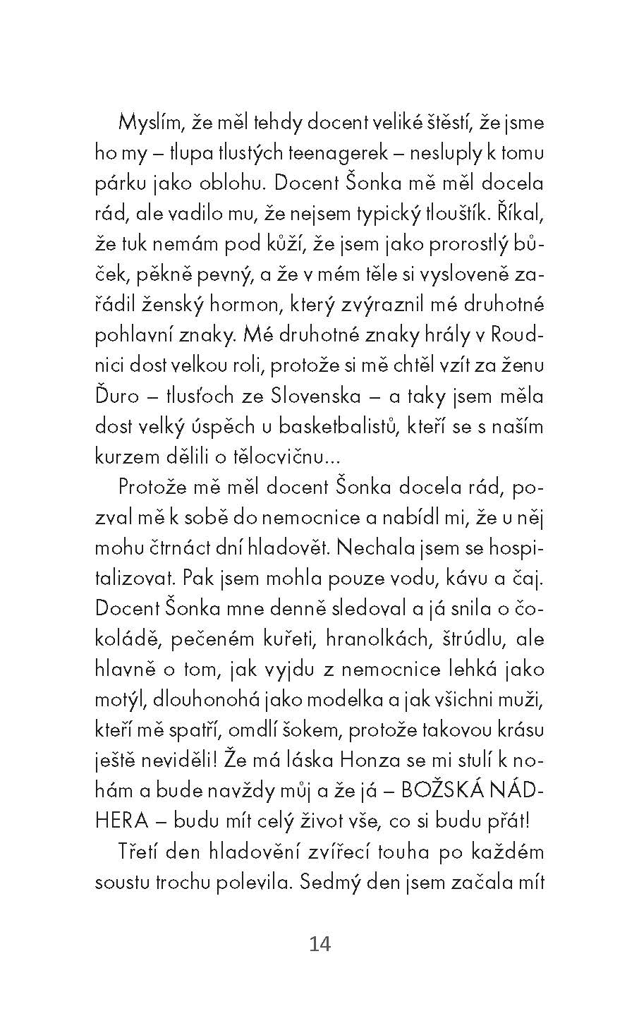 Velký příběh