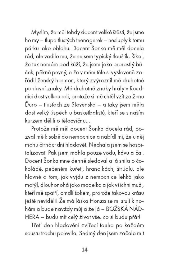 Velký příběh