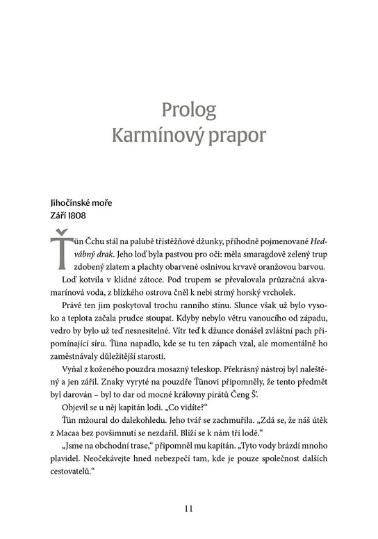 Temný vektor