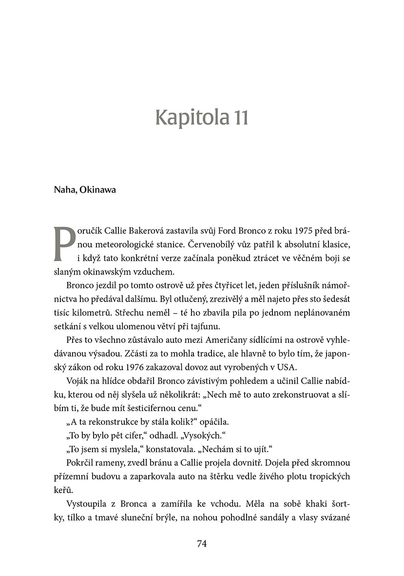 Temný vektor