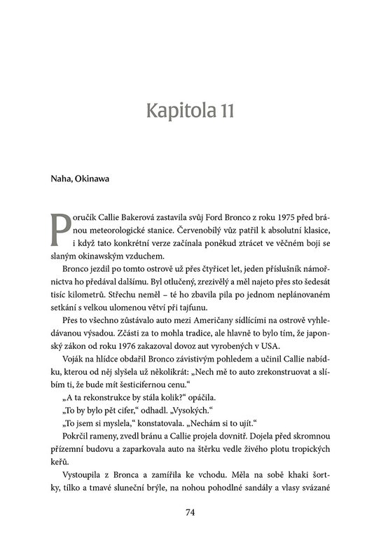 Temný vektor
