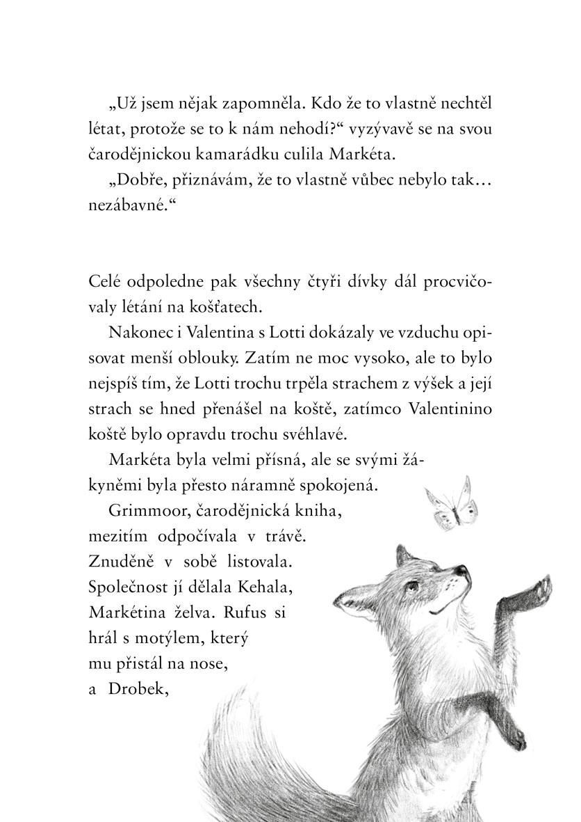 Dívka jménem Willow: Čas stínů