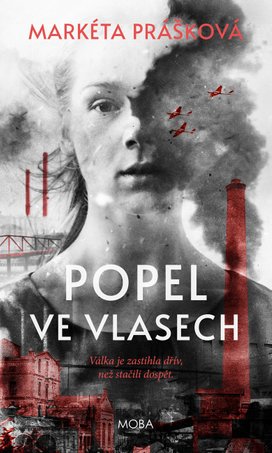 Popel ve vlasech