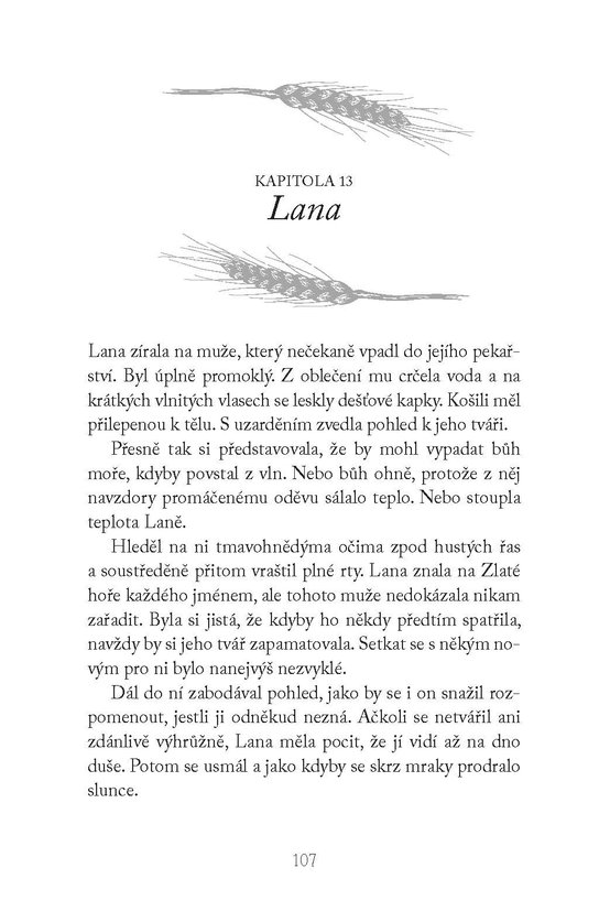 Kapitán osudů