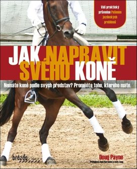 Jak napravit svého koně