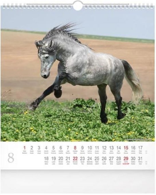 Horses 2027 - nástěnný kalendář