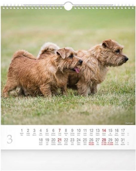 Dogs 2027 - nástěnný kalendář