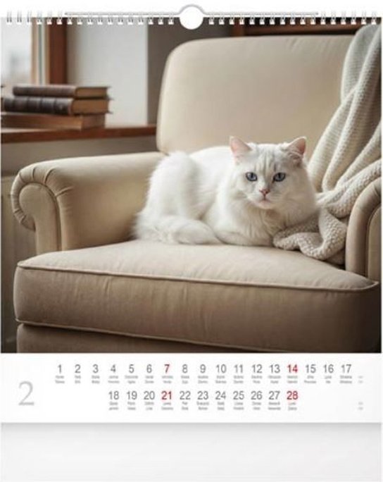 Cats 2027 - nástěnný kalendář