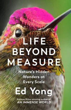 Life Beyond Measure